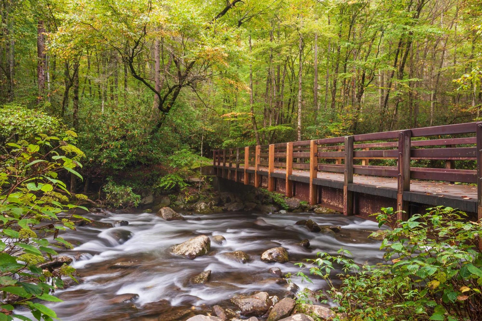 Breathtaking View, Hot Tub, 1089 Of Free Attraction Tickets For Each Paid Day, Dollywood And More! Сев'єрвілл Екстер'єр фото